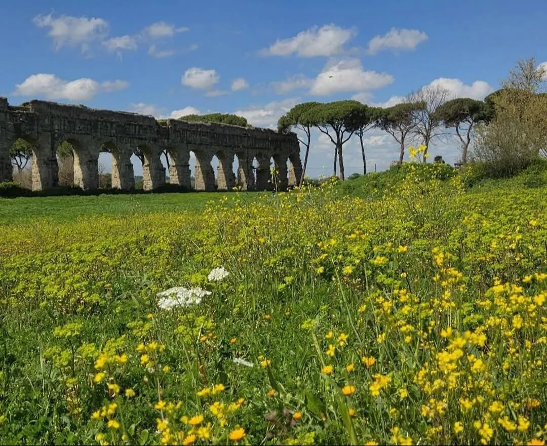 Braliu Apartment Rome